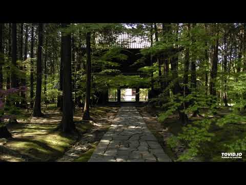 Zazen timer 25 minutes