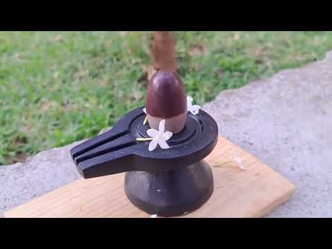 Neelkanth Natural Om Shivalingam from Narmada River video