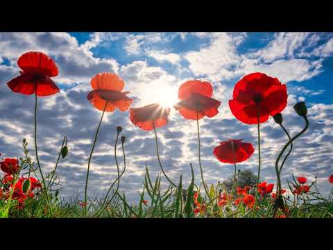 Xochicuicatl ~ Ixya Herrera