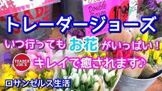 【Trader Joe's】トレーダージョーズのお花と鉢植えは、かわいいので要チェック！いつも癒されます♪/Trader Joe's/Flowers