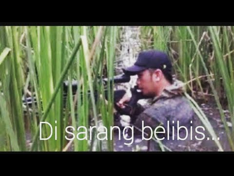 Mliwis Novyj Trend Smotret Onlajn Na Sajte Trendovi Ru