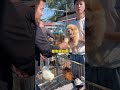 这个几个品种是真的太稀少了狗市 狗狗 神奇动物在抖音 阿富汗猎犬