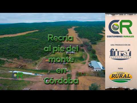 Recría al pie del monte en Córdoba - CR#1081