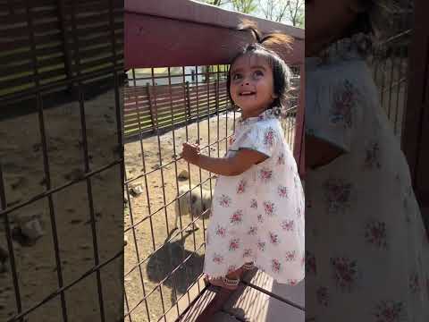 Nirvi enjoying with animals #brokenbow