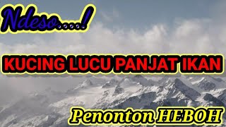 Download lagu PANJAT PINANG TERLUCU KUCING LOMBA PANJAT IKAN mp3 Download lagu PANJAT PINANG TERLUCU KUCING LOMBA PANJAT IKAN mp3