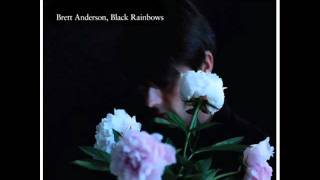 Brett Anderson Black Rainbows Album Sampler