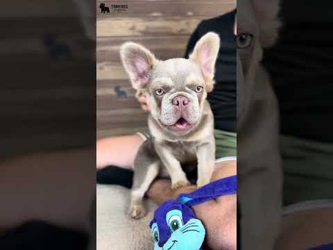 Video 3