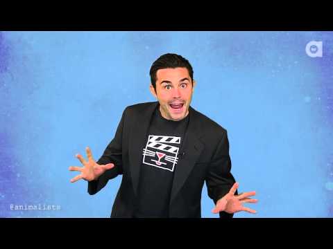 Animals Can Tell Time Better Than Humans  And They Don't Need a Clock!