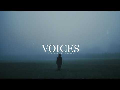 "Voices" Post Malone X XXXTentacion (Type Beat)