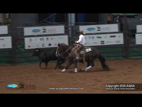 OPUS CAT OLENA RHB shown by MATT KOCH   2020 AQHA World Show Senior Working Cow Horse, Finals