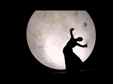 Visitors2 danza alla luna