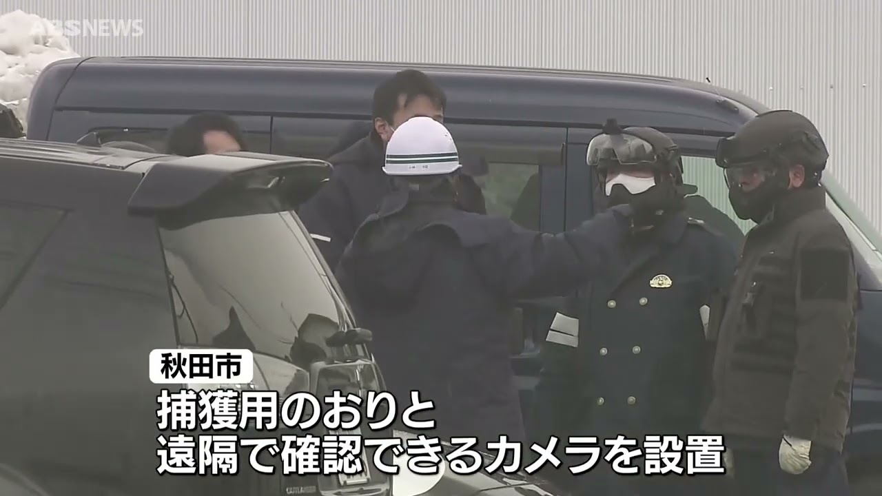 居座りクマ 自動車整備工場から搬出へ