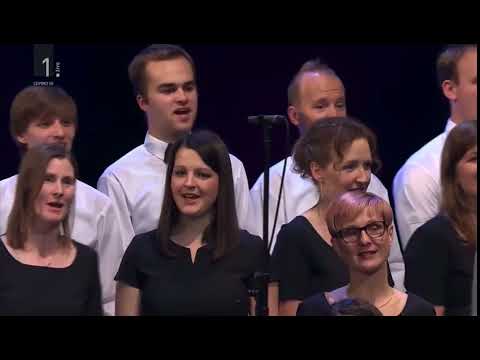 VOKALNA SKUPINA DIVA, POTOŠKI FANTJE, solist ŽIGA LAKNER, SNEŽNA NOČ  (Privšek, Budau)