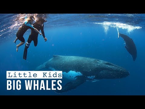 OUR LAST VLOG as a Full-Time Traveling Family :( /// WEEK 121 : Tonga