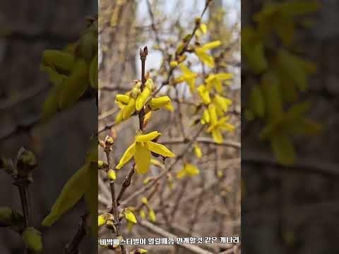 [2026 상주시 sns 서포터즈] 상주 북천시민공원에 찾아온 봄