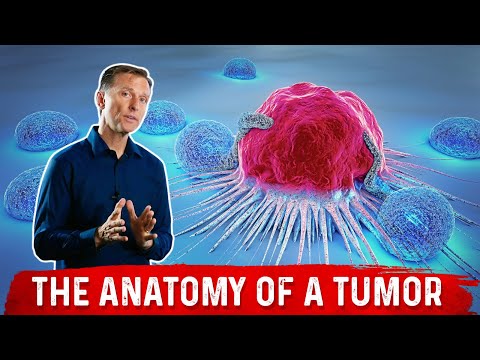 Why PROTEIN Does Not Help Hair Loss Brittle Nails and Collagen Loss – Dr Berg