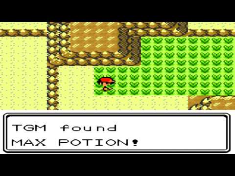Pokemon Crystal (GBC) walkthrough - Route 45