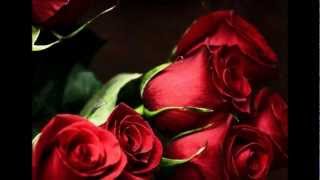 THE ROSE--DON WILLIAMS.