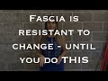 The One Rule Of Effective Fascial Release And Why Massage Doesn T Release Fascia