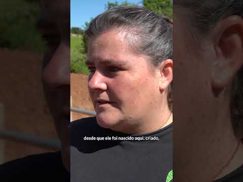 A nova ponte da Água Limpa já é realidade