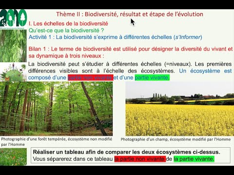 Les échelles de la biodiversité