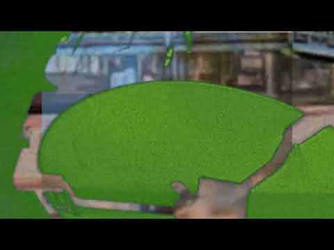 Jade - Charlie Xavier