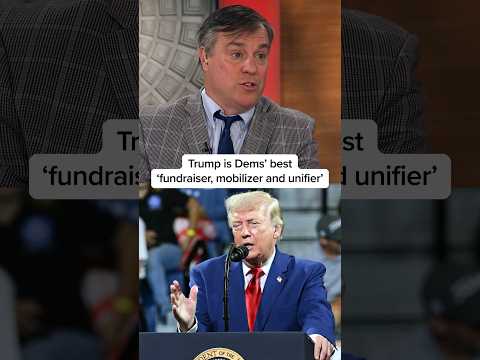 Trump is Dems’ best ‘fundraiser, mobilizer and unifier’