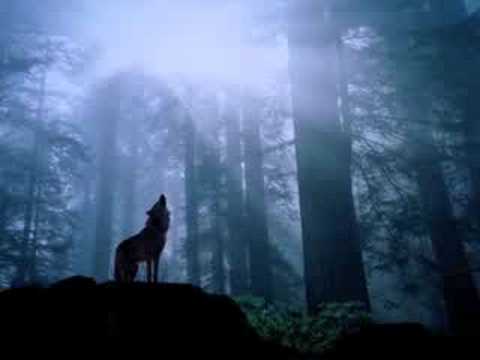 warcloud ft. the professional- life's mysteries