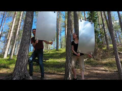 Suomussalmen Soiva Metsä