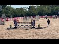⭐️ Belle jument à vendre – Discrète de Sybel ⭐️