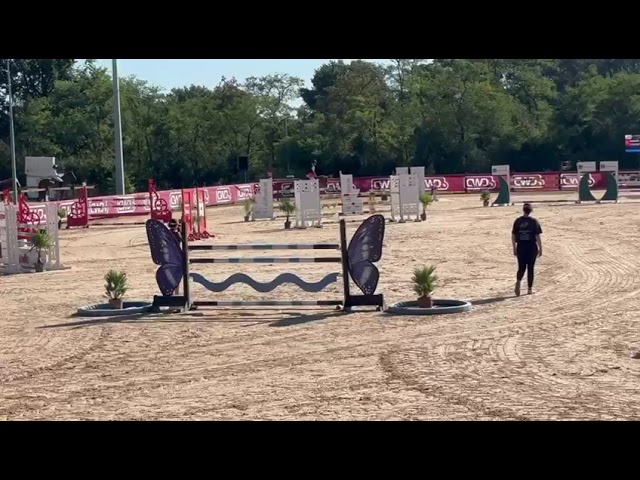 ⭐️ Belle jument &agrave; vendre &ndash; Discr&egrave;te de Sybel ⭐️