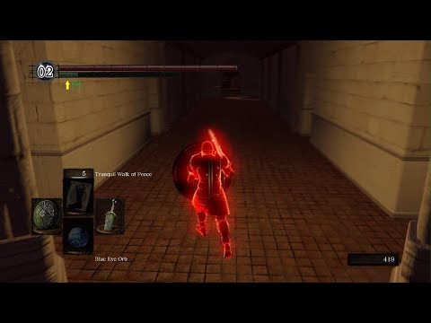 DARK SOULS: REMASTERED 2025 stone guardian invasion SL120