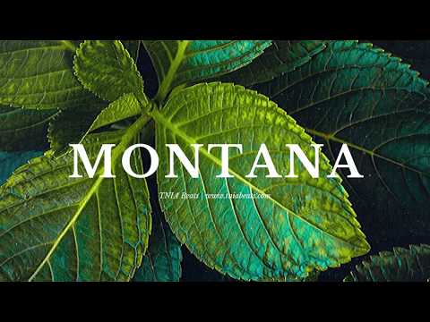 MONTANA | Young T & Bugsey x Aitch x Fredo Type Beat | Afroswing x UK Afrobeats Instrumental 2020