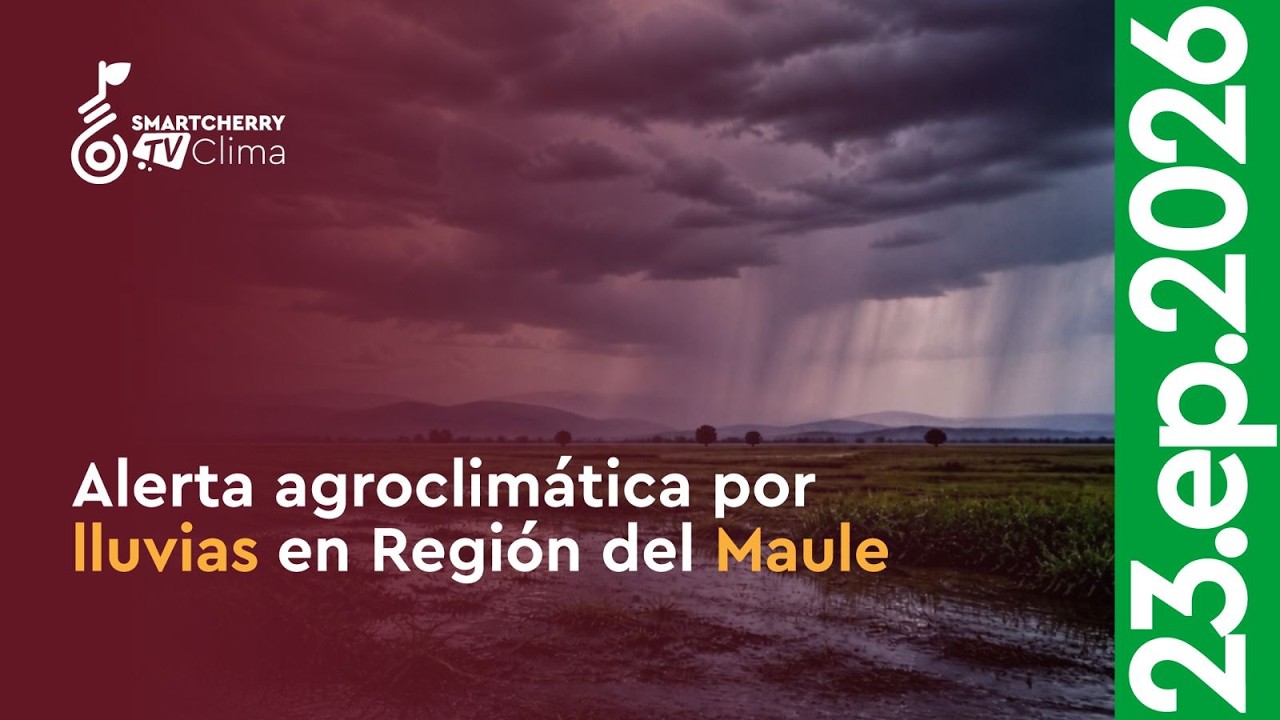 Alerta agroclimática por lluvias: Cambios bruscos de temperatura anticipan un octubre desafiante