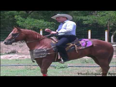 carlos pantoja motivos llaneros