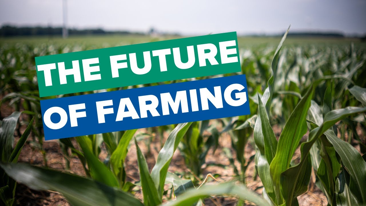 What is Regenerative Agriculture? - Fresh from the Field Episode 1