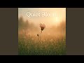 Quiet Bloom