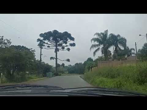 Estrada rural ao centro de balsa nova PR 