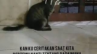 Download lagu Jeritan hati anak rantau mp3