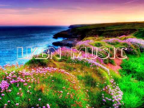 David Jappon - Mon cœur à moi