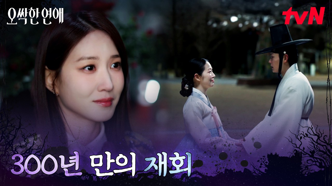 드디어 발견된 관, 억울함을 푼 300년 전 사랑 #오싹한연애 EP.7 | tvN 260808 방송