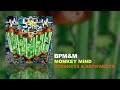 BPM&M - Monkey Mind (XtraKcts & ArtifaKcts Official Video)