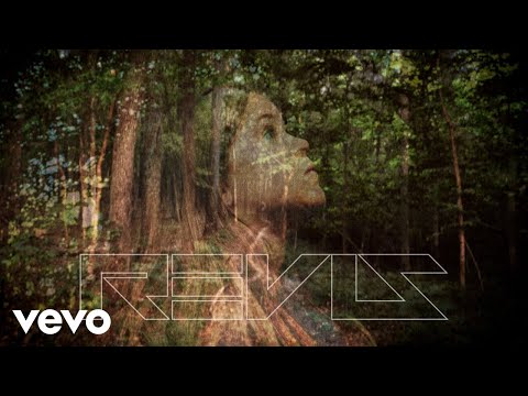 Revis - Stardust (All Around Us)