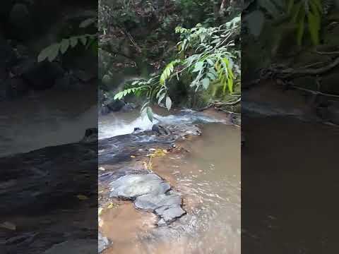 lindas cachoeiras que vc só em  contra a que em Rio Formoso, Pernambuco, Brasil;