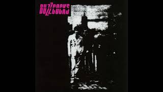 BUZZCOCKS   Driving you insane 2003