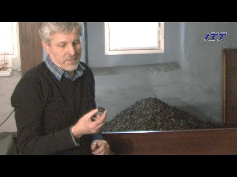 Siłę bez prostaty Rośliny lecznicze i potencji u mężczyzn