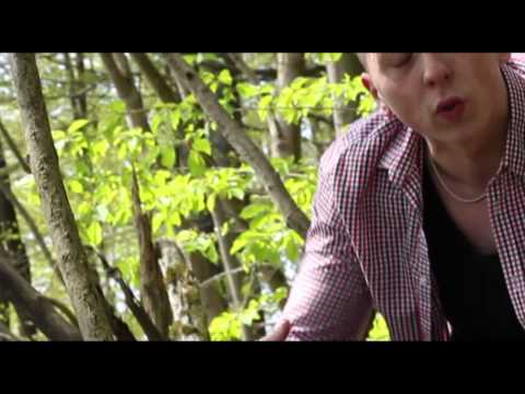 kolex ft. MikeMaraeL - Nie zu spät (official Video)