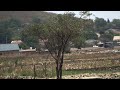 Rugare Tinofunga Kuti Akapondwa Akazosiiwa Pamuti Nekuti Kamuti Kacho Kadiki