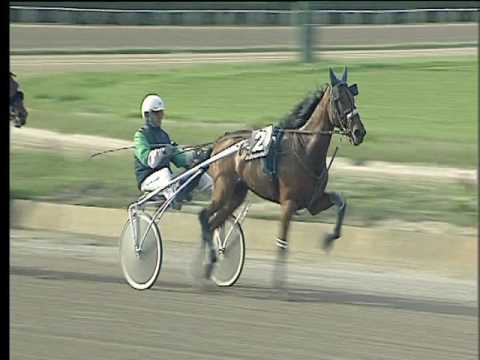 Trotto 24/03/2017 - 3ª corsa