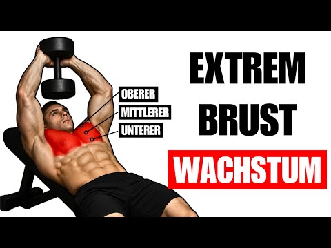 NUR 6 ÜBUNGEN FÜR EINE PERFEKTE BRUST (WISSENSCHAFTLICH FUNDIERTES WORKOUT)